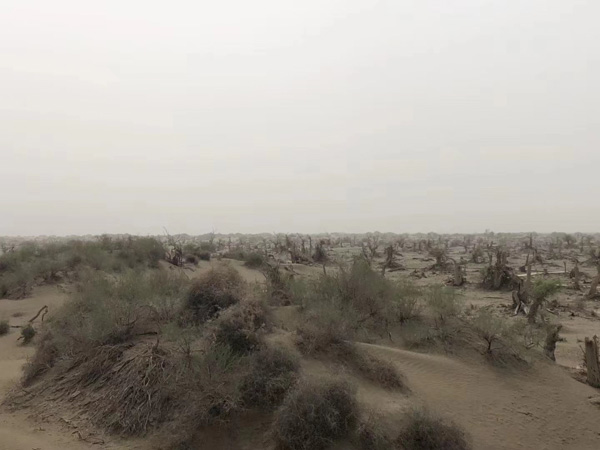 什么表現(xiàn)才算犯罪中止？徐匯區(qū)刑事律師為大家解析犯罪中止的具體表現(xiàn)