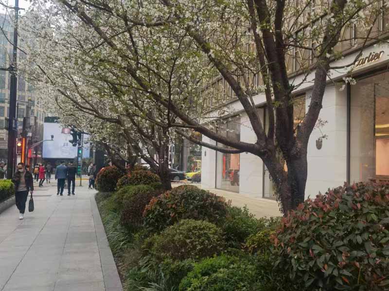 黃浦區(qū)刑事律師解析：徇私舞弊不移交刑事案件罪的罪名起源來自哪里？