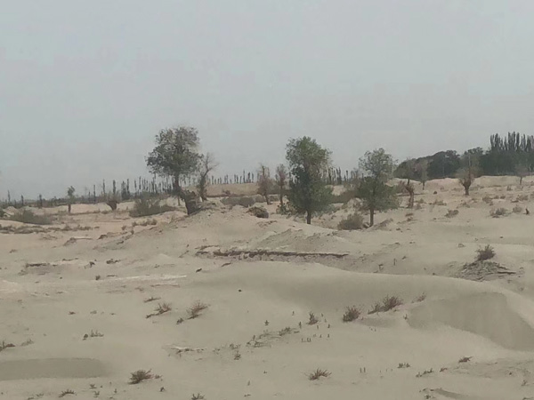 上海市的刑事律師來講講拒不執(zhí)行轉移隱匿財產(chǎn)找不到人怎么辦