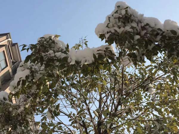 上海刑事律師為您解答如何避免成為高利轉(zhuǎn)貸罪的幫兇