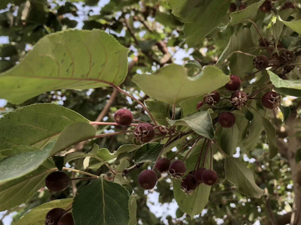 盜竊自己借給別人的東西在司法實踐中是盜竊嗎？上海刑事律師事務(wù)所來回答
