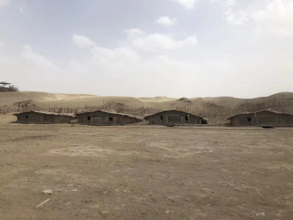 上海擅長(zhǎng)刑事律師來講講以出售為目的盜挖價(jià)值數(shù)額較大的行道樹如何定性