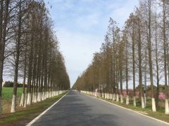 刑事犯罪去哪找專(zhuān)業(yè)的上海取保候?qū)徛蓭?></a></div>
                            <div   id="hkw2ul2"   class="media-body">
                              <a href="http://mlmcu.com/xszx/252.html" title="刑事犯罪去哪找專(zhuān)業(yè)的上海取保候?qū)徛蓭?>刑事犯罪去哪找專(zhuān)業(yè)的上海取保候?qū)徛蓭?/a>
                              <p class="list_desc">上海取保候?qū)徛蓭熁貜?fù)可以處理這個(gè)問(wèn)題，公司侵犯了你的名譽(yù)權(quán)，你可以要求精神損害賠償，可以起訴要求其賠禮道歉，支付精神撫慰金。... </p>
                            </div>
                          </div>
                        </li><li>
                          <div   id="hfm2y7g"   class="media media-x">
                            <div   id="2dfryfm"   class="media_img float-right"><a  href="http://mlmcu.com/xszx/251.html" ><img  src=