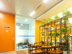 <b>刑律之巔：揭秘我國(guó)有期徒刑最高年限的秘密</b>